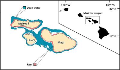 Managing Local Stressors for Coral Reef Condition and Ecosystem Services Delivery Under Climate Scenarios